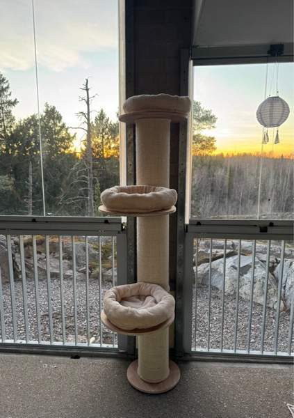 Kissan kiipeily-/raapimapuu Helsinki - photo 1