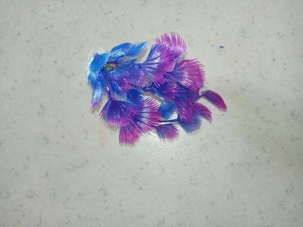 Muovi kasveja /terraarioon Rovaniemi - valokuva 3