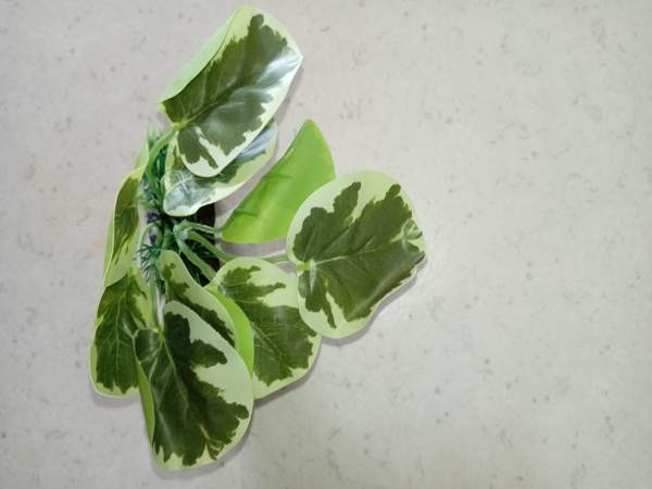 Muovi kasveja /terraarioon Rovaniemi - valokuva 5