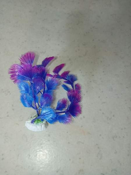 Muovi kasveja /terraarioon Rovaniemi - valokuva 4