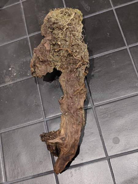 Juurakko kanto akvaarioon Espoo - photo 8