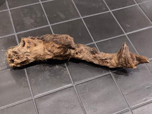 Juurakko kanto akvaarioon Espoo - photo 1