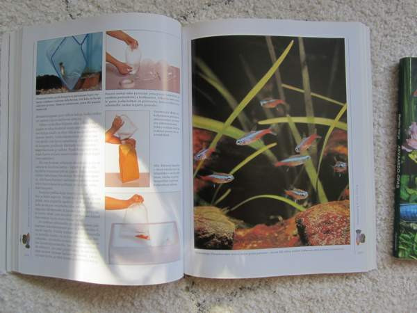 akvaariokirja Yloejaervi - изображение 1