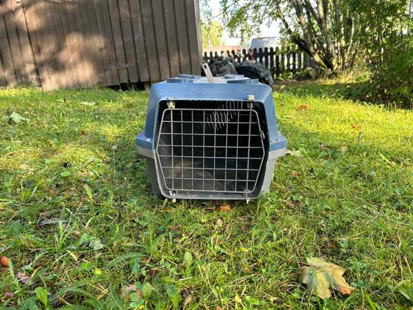 Marsun kantokoppa Ярвенпяя - изображение 2