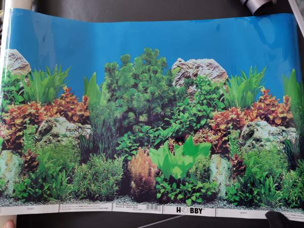 Akvaario taustakuva 2-puoleinen Эспоо - изображение 1