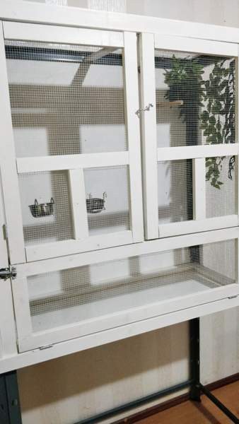 Iso lintu häkki + pieni häkki Akaa - valokuva 3