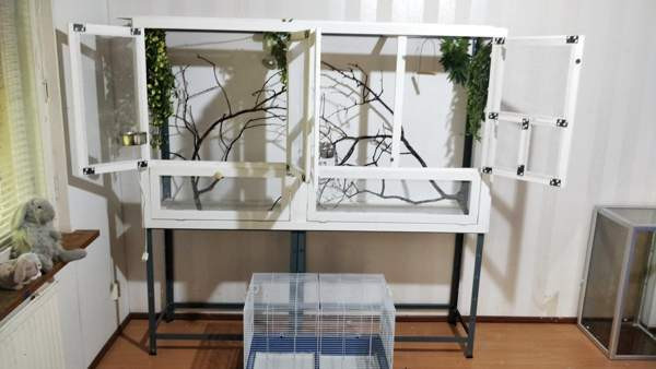 Iso lintu häkki + pieni häkki Akaa - valokuva 1