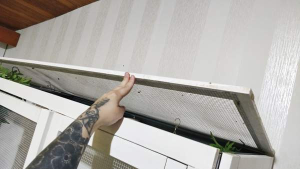 Iso lintu häkki + pieni häkki Akaa - valokuva 6