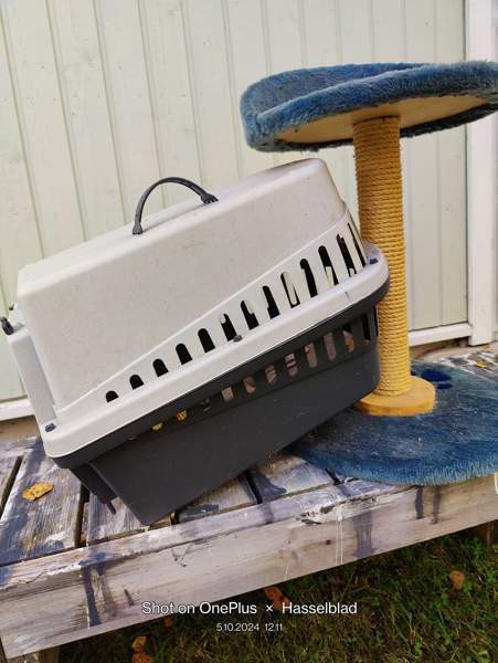 Marsulle kissalle tai pienelle koiralle Pyhäjoki - изображение 1