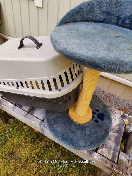 Marsulle kissalle tai pienelle koiralle Pyhäjoki - изображение 2