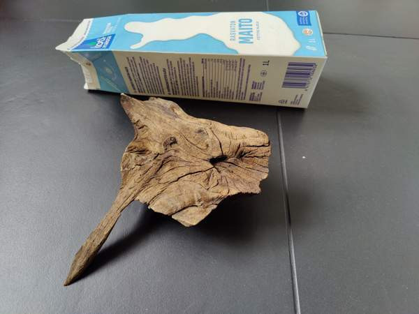 Juurakko akvaarioon Espoo – foto 2