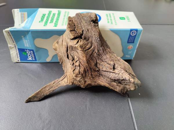 Juurakko akvaarioon Espoo - photo 4