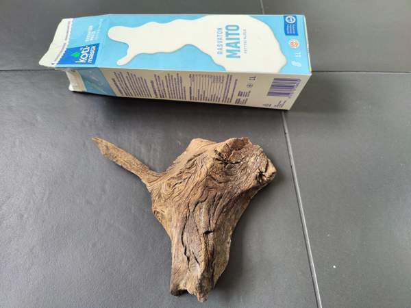 Juurakko akvaarioon Espoo - photo 1