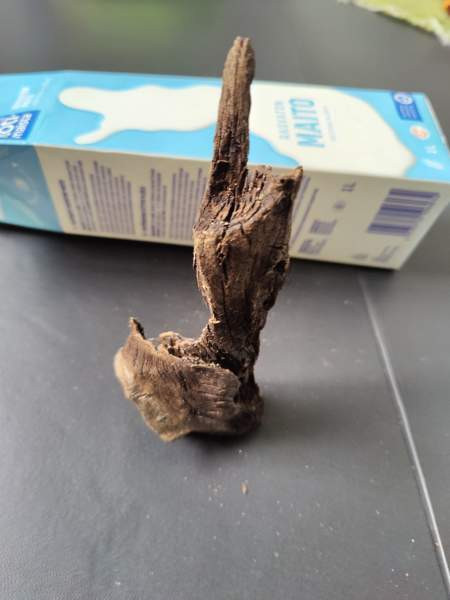 Juurakko akvaarioon Espoo - valokuva 1