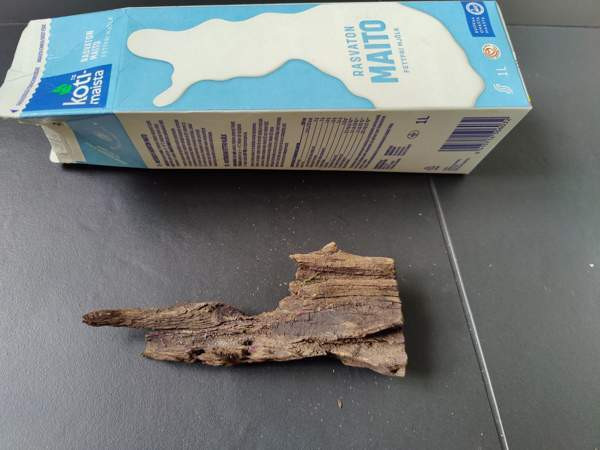 Juurakko akvaarioon Espoo - valokuva 2