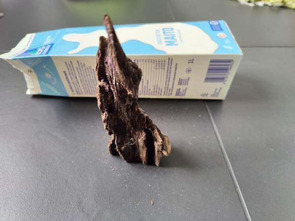 Juurakko akvaarioon Espoo - valokuva 3