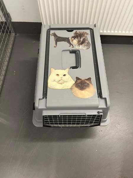 Kantohäkki x 2 isoja Helsinki - изображение 3