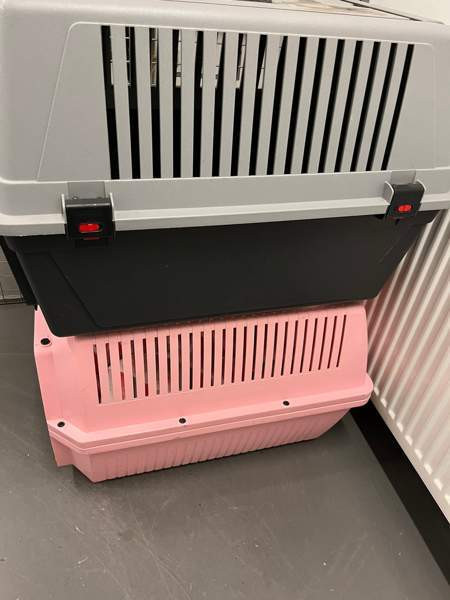 Kantohäkki x 2 isoja Helsinki - изображение 1