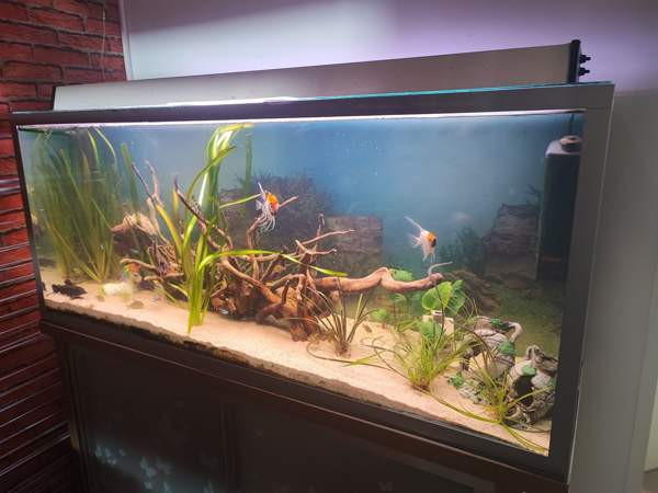 Akvaario 350 L ja tukeva alusta Loviisa - изображение 1