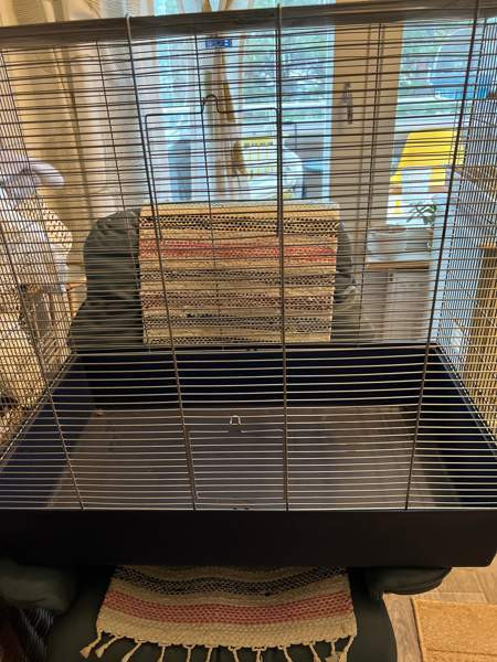 Häkki Kajaani - photo 1