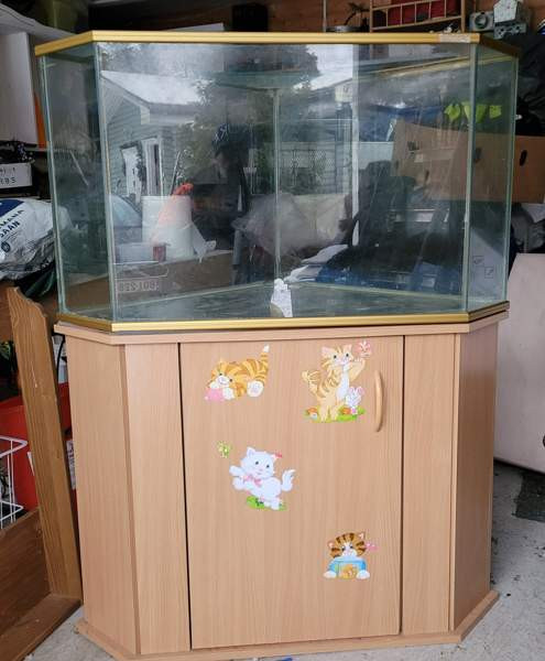 Kulma-akvaario / terraario kaapilla Ypäjä - изображение 2