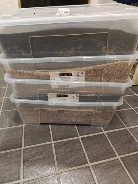 Woha Icana akvaario 240L (Käyttämätön) Vantaa - photo 4