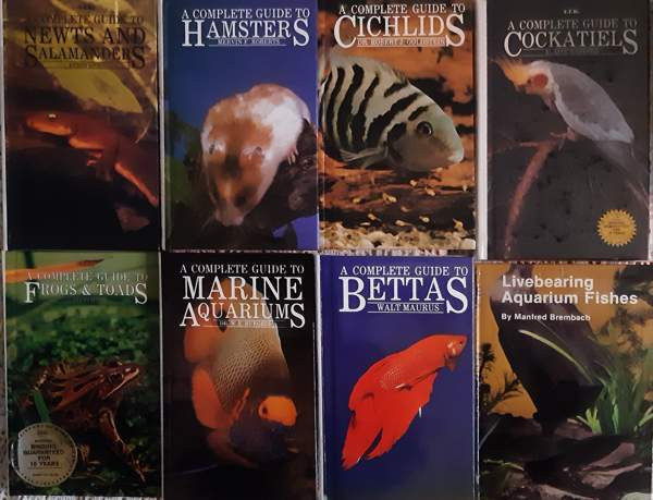 ENGLANNINKIELISIÄ t.f.h-OPPAITA 7kpl Kauhajoki - photo 1