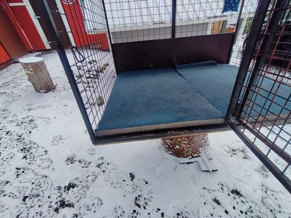 Autohäkki pakettiautoon Sastamala - photo 8