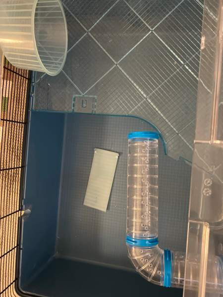 Hamsterin häkki Kemi - photo 2