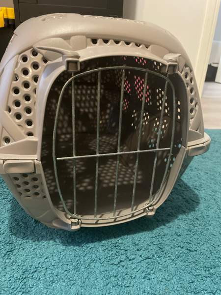 Kissan kantokoppa Espoo - photo 2