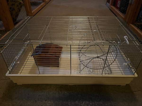 hamsterin häkki Вантаа - изображение 4