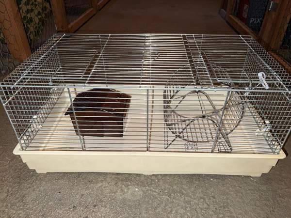 hamsterin häkki Вантаа - изображение 2