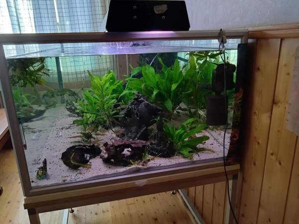 640l akvaario tarvikkeineen ja kaloineen Ii - photo 6
