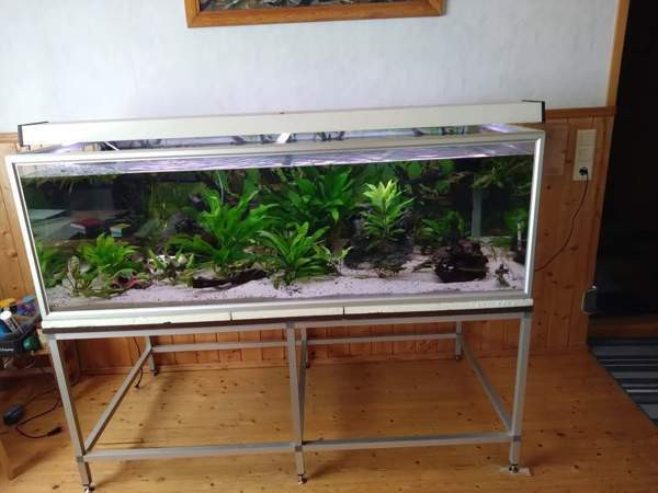 640l akvaario tarvikkeineen ja kaloineen Ii - photo 1
