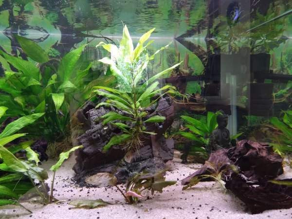 640l akvaario tarvikkeineen ja kaloineen Ii - valokuva 5