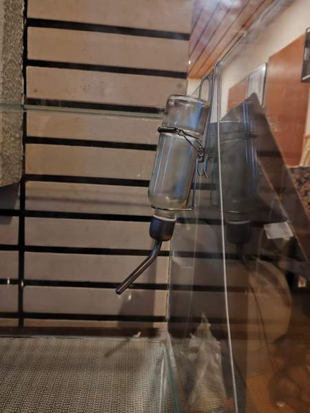 Gerbiilin häkki Janakkala – foto 3