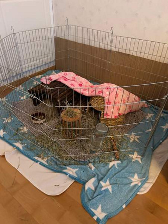 Marsuhäkki 2 kpl Vantaa – foto 2