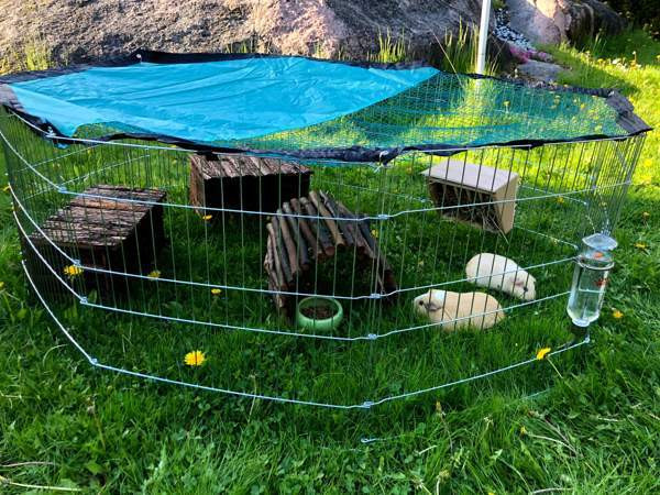 Marsuhäkki 2 kpl Вантаа - изображение 3