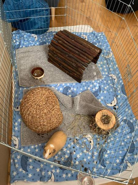 Marsuhäkki 2 kpl Вантаа - изображение 1