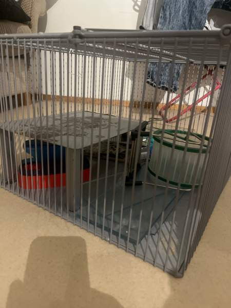 myydään jyrsiä häkki Vantaa - valokuva 2