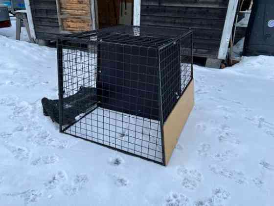 Koirahäkki Siilinjaervi