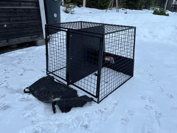 Koirahäkki Siilinjärvi - valokuva 2