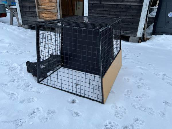 Koirahäkki Siilinjärvi - valokuva 1