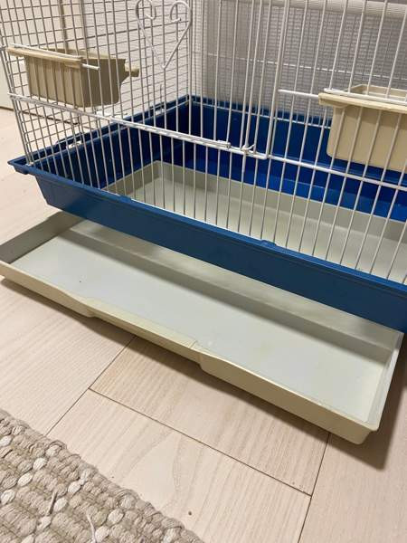 Iso linnunhäkki ja tarvikkeet Oulu - valokuva 3