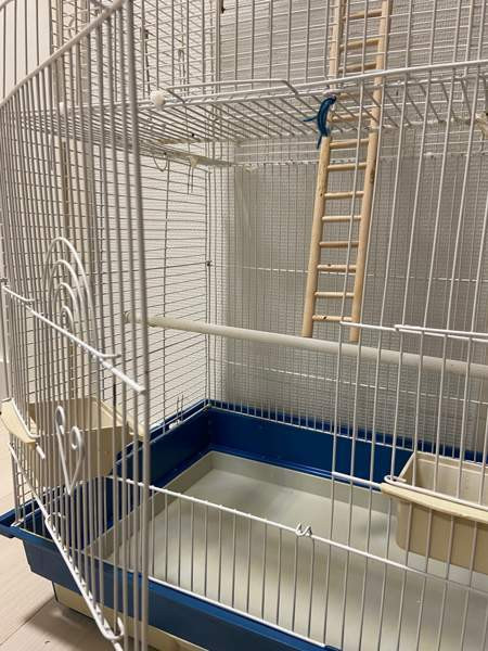 Iso linnunhäkki ja tarvikkeet Oulu - valokuva 4