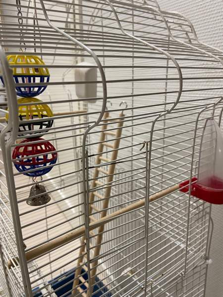 Iso linnunhäkki ja tarvikkeet Oulu - valokuva 6