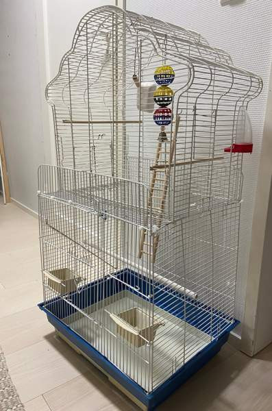 Iso linnunhäkki ja tarvikkeet Oulu - valokuva 1