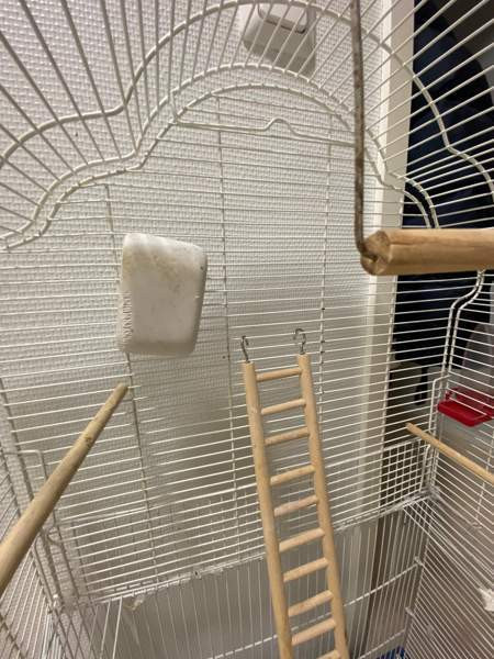 Iso linnunhäkki ja tarvikkeet Oulu - valokuva 7