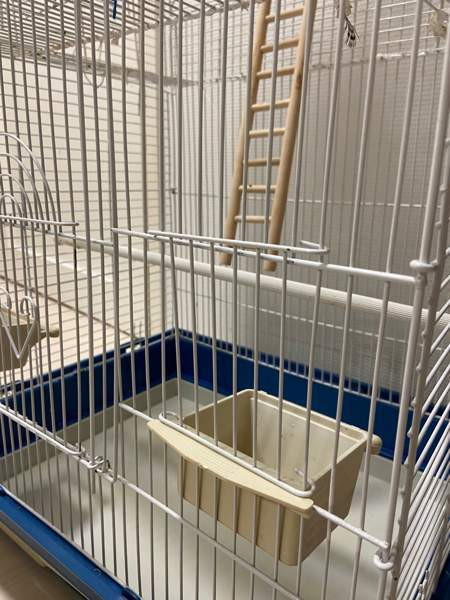 Iso linnunhäkki ja tarvikkeet Oulu - valokuva 2