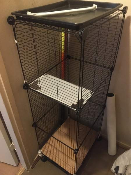 Lintuhäkki Heinola - photo 1